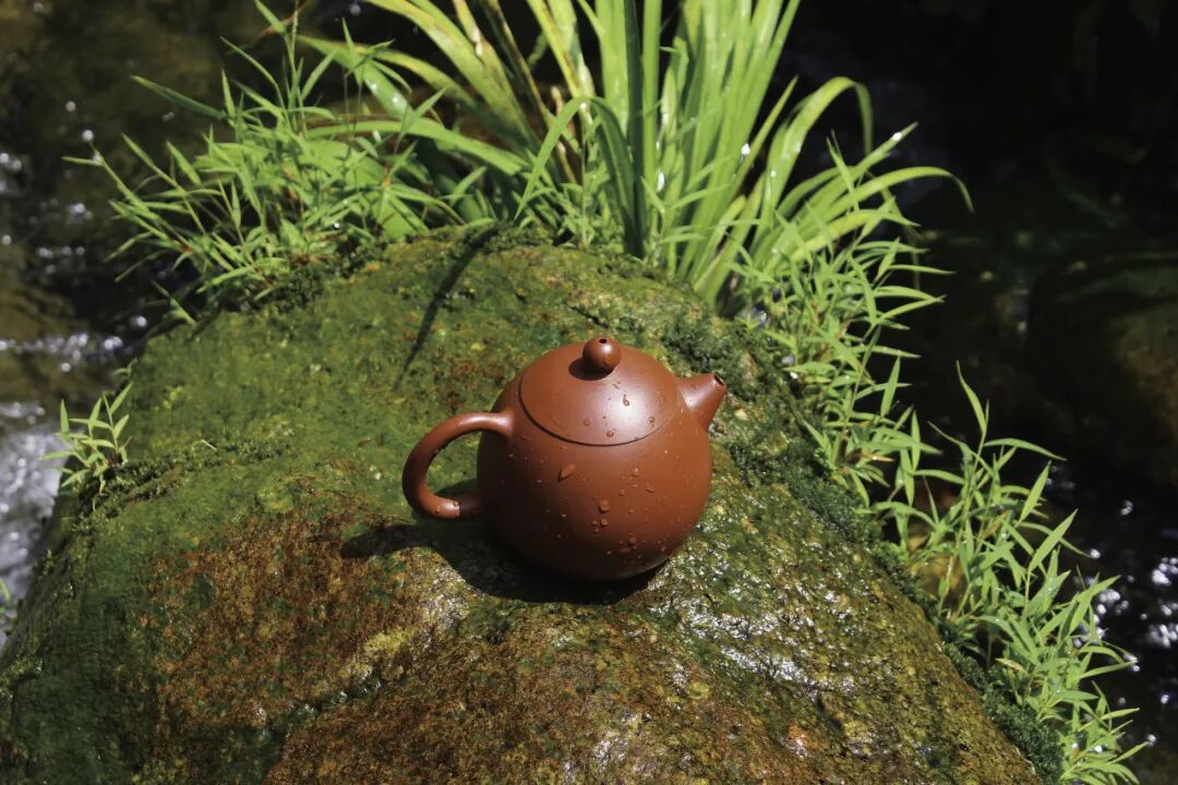 你会用紫砂罐存茶吗？