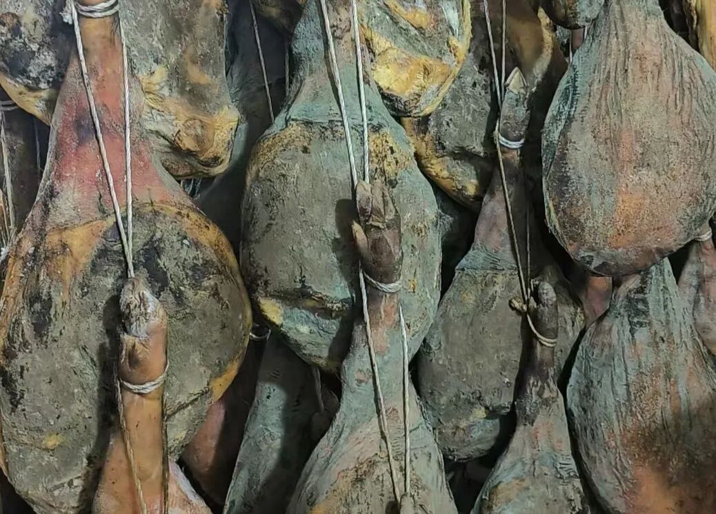 普洱茶仓储通论