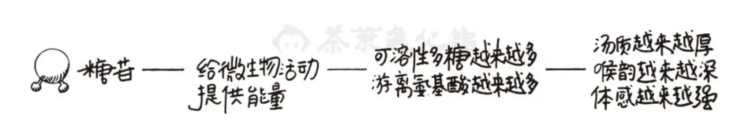 普洱茶仓储通论