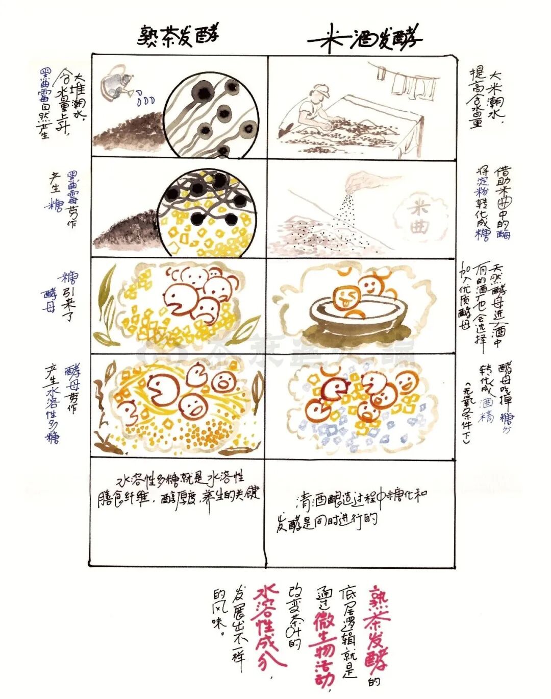 普洱茶仓储通论