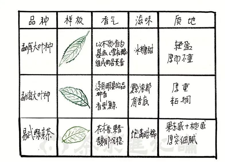 普洱茶仓储通论