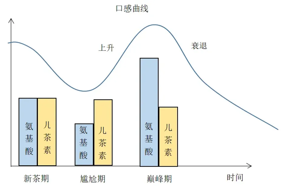 普洱茶仓储通论