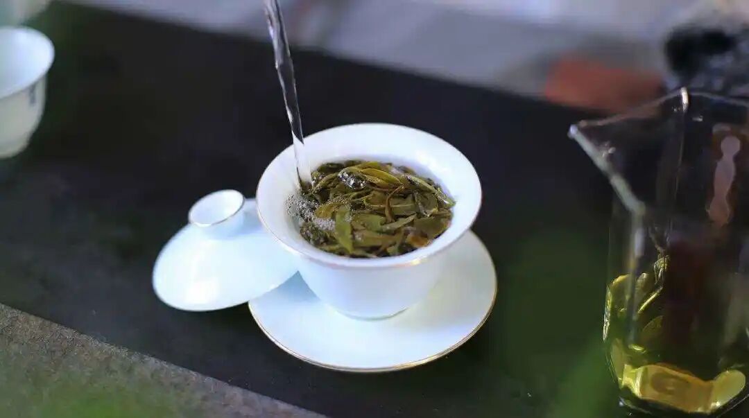为什么你泡的茶又苦又涩？新手一学就会的泡茶方法
