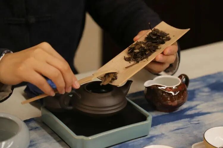 为什么你泡的茶又苦又涩？新手一学就会的泡茶方法