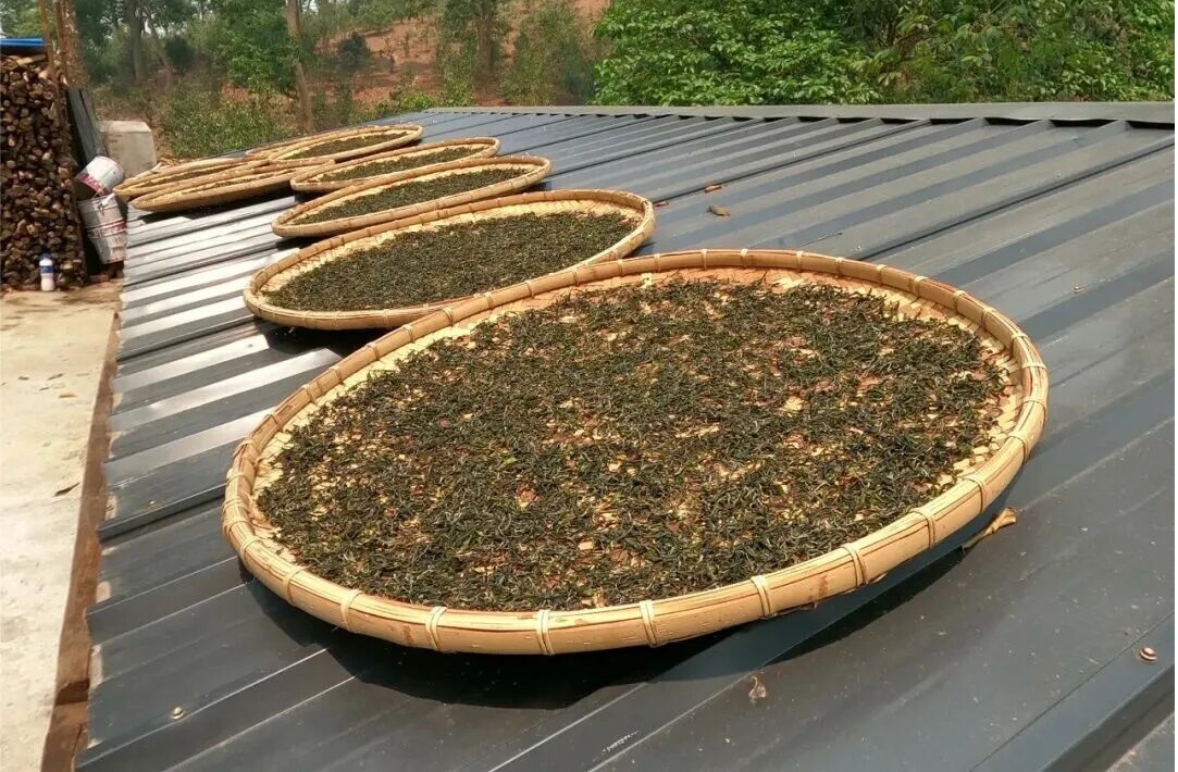 如何挑选春茶？