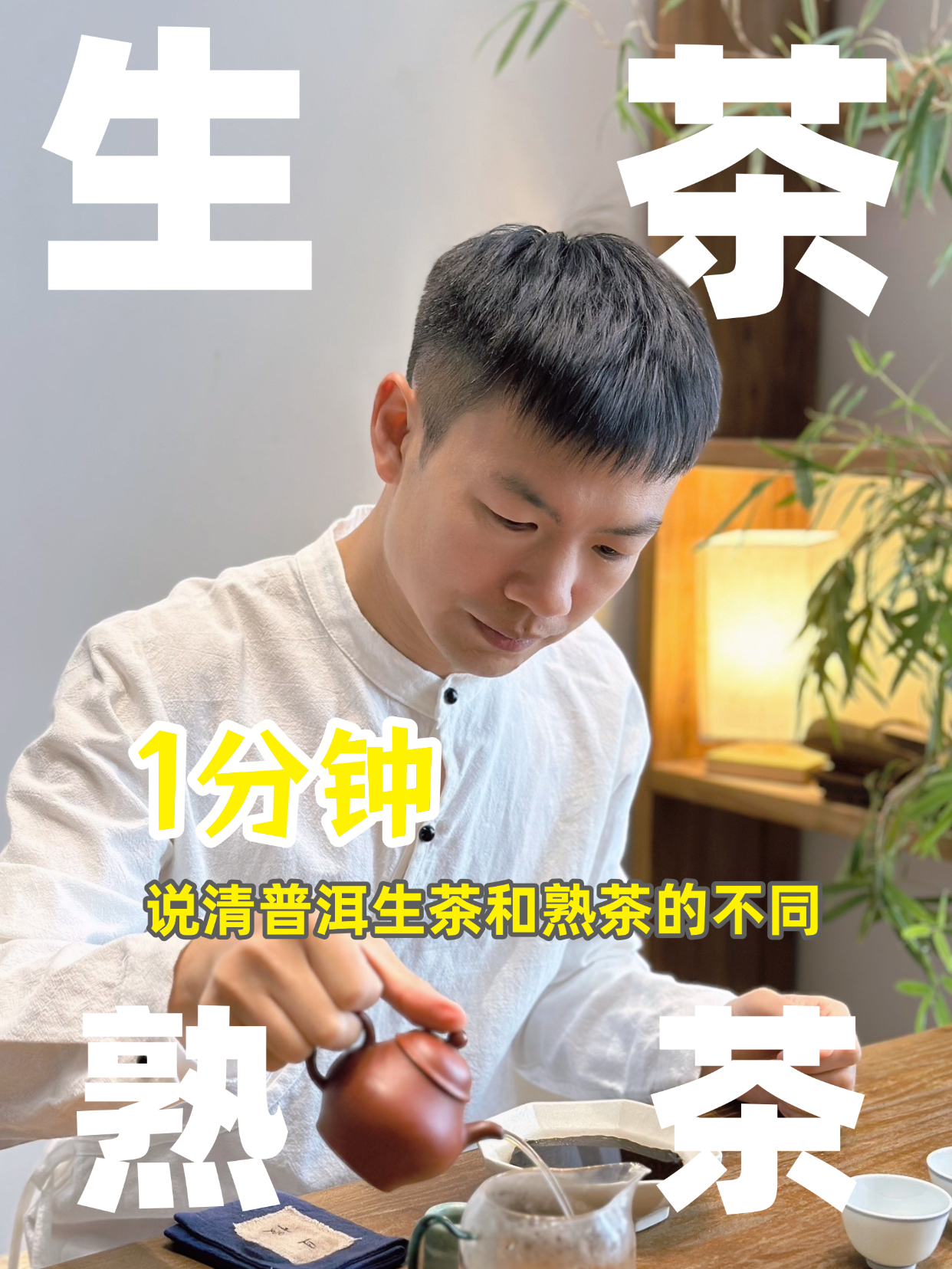 1分钟快速认识普洱生茶和熟茶