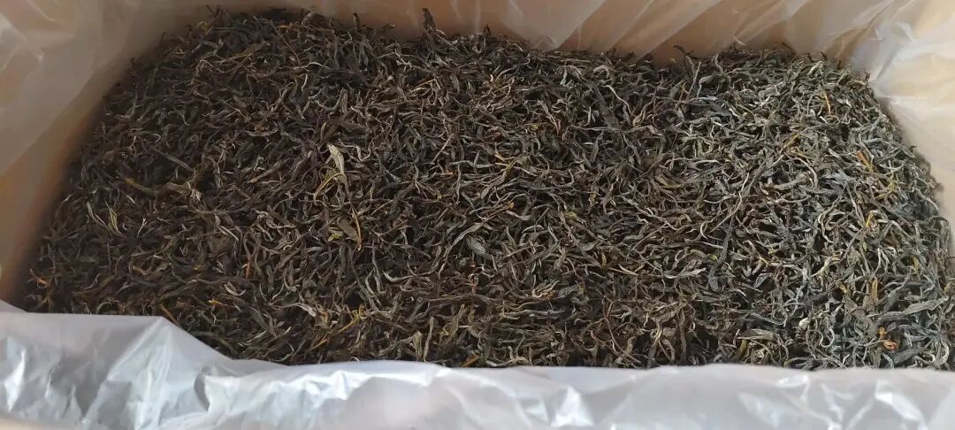 懂普洱的人都选饼茶？散茶与饼茶的真实差距，一次讲明白