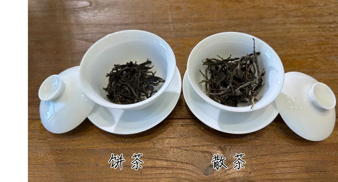 懂普洱的人都选饼茶？散茶与饼茶的真实差距，一次讲明白