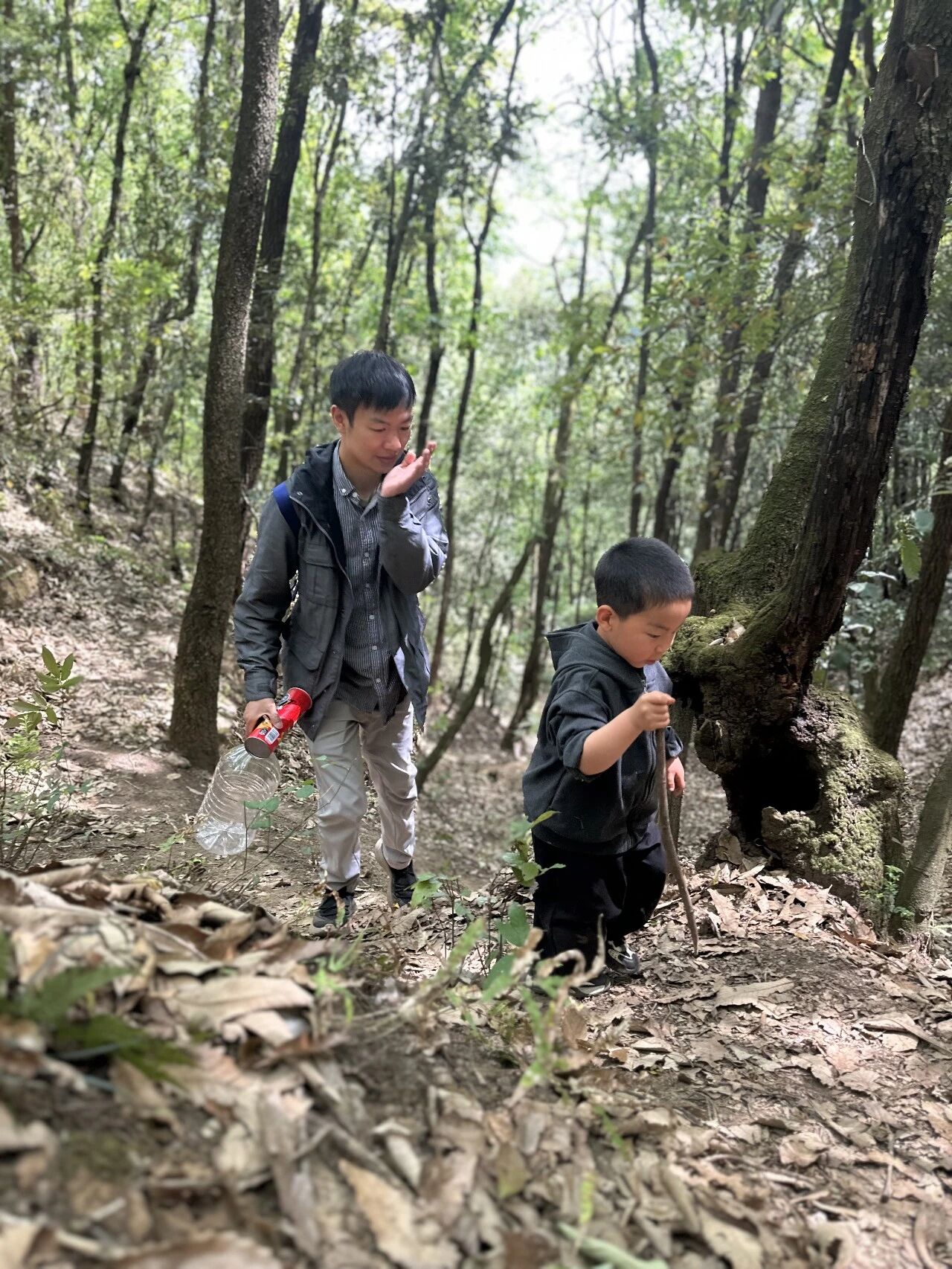 为了这口茶，没苦硬吃！后遗症：下次还去