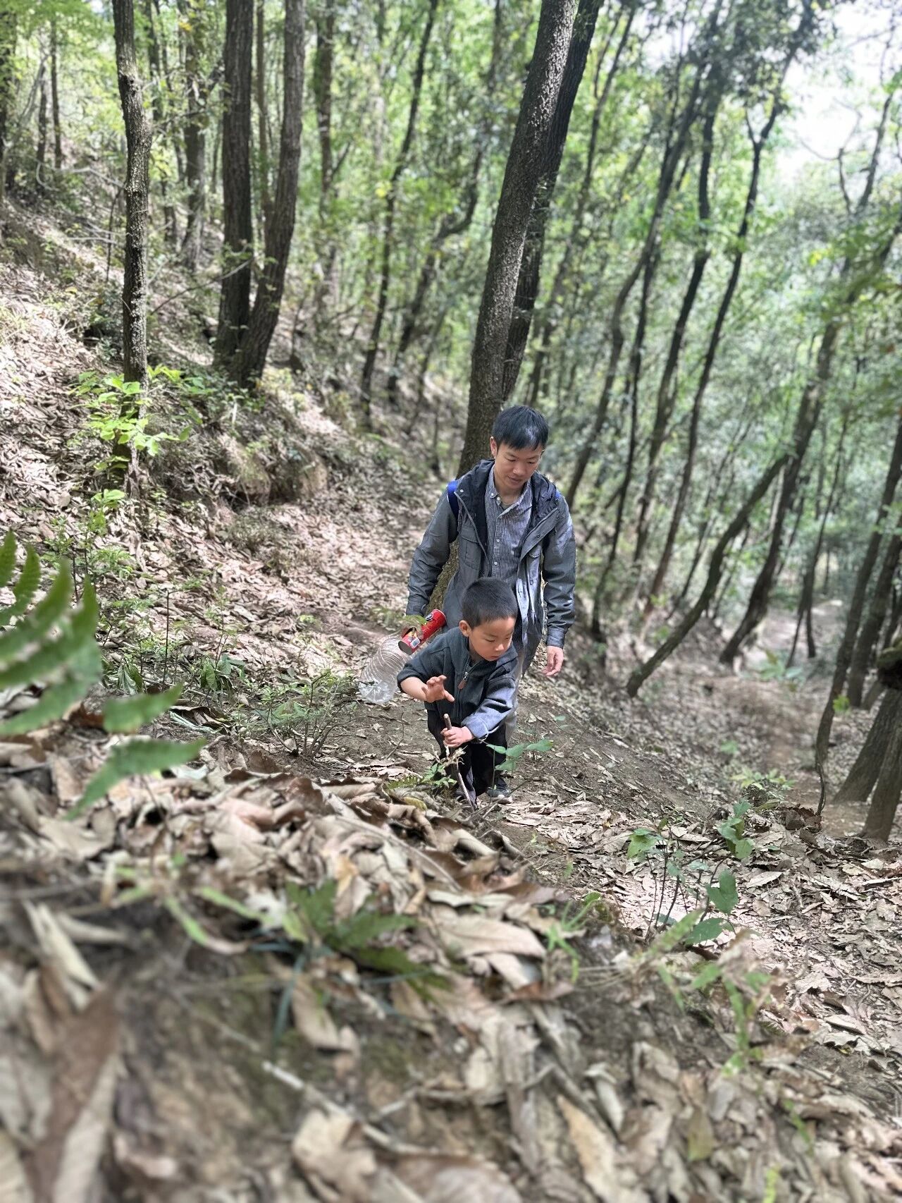 为了这口茶，没苦硬吃！后遗症：下次还去