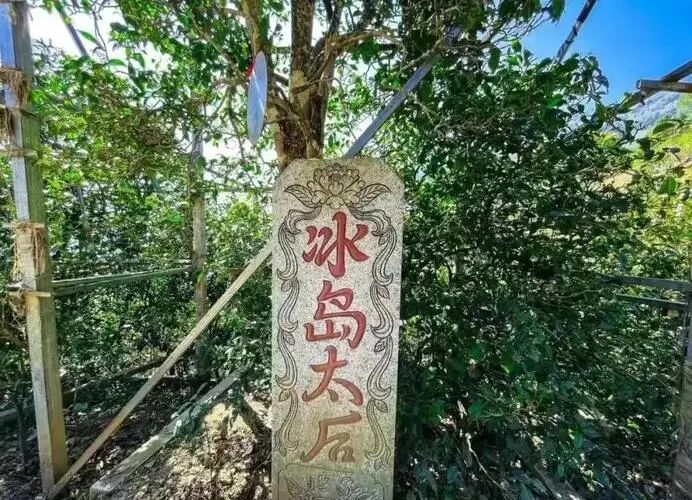 普洱茶的下一个十年，拼什么？