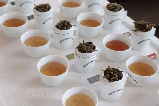 普洱茶的下一个十年，拼什么？