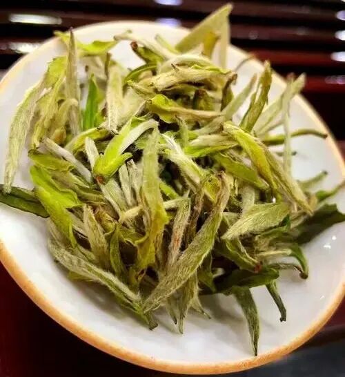 长毛的茶,还能喝吗?