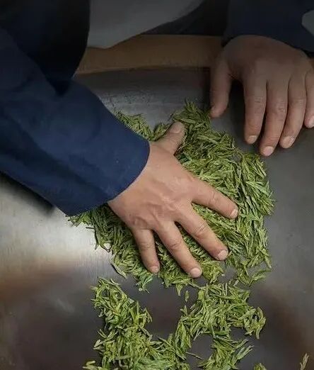 长毛的茶,还能喝吗?
