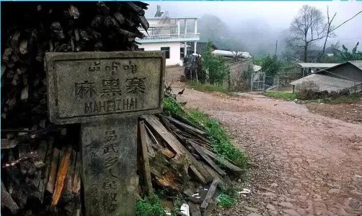 为什么喝过易武茶的人,很少再换口味?