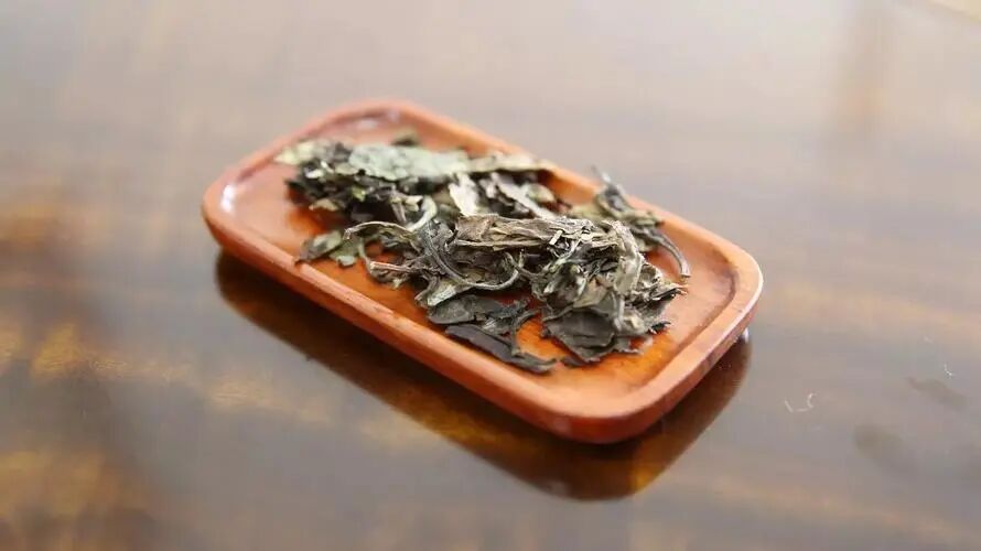 白茶怎么泡更好喝？就这3招，照着做就行了！