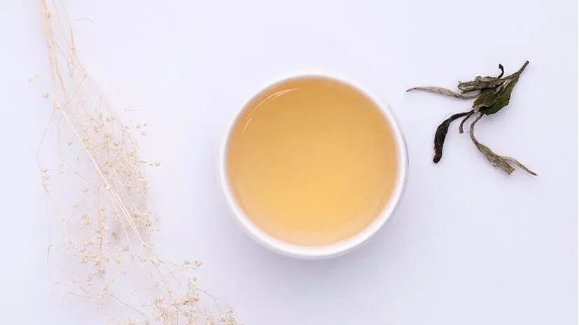 白茶怎么泡更好喝?就这3招,照着做就行了!