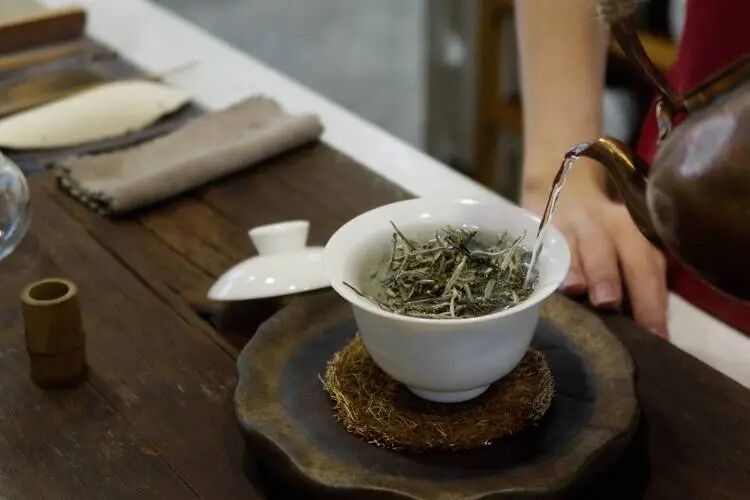 白茶怎么泡更好喝?就这3招,照着做就行了!