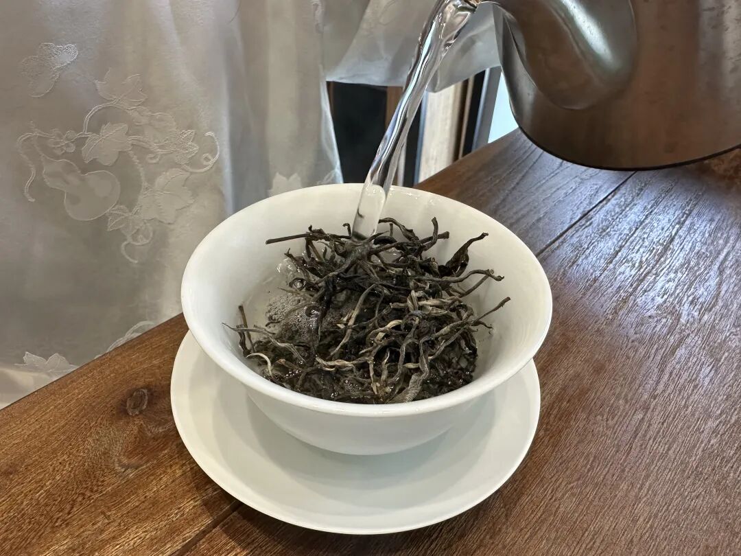 如何学会喝懂一款普洱茶？只要5步，你的品鉴力会飞速提升
