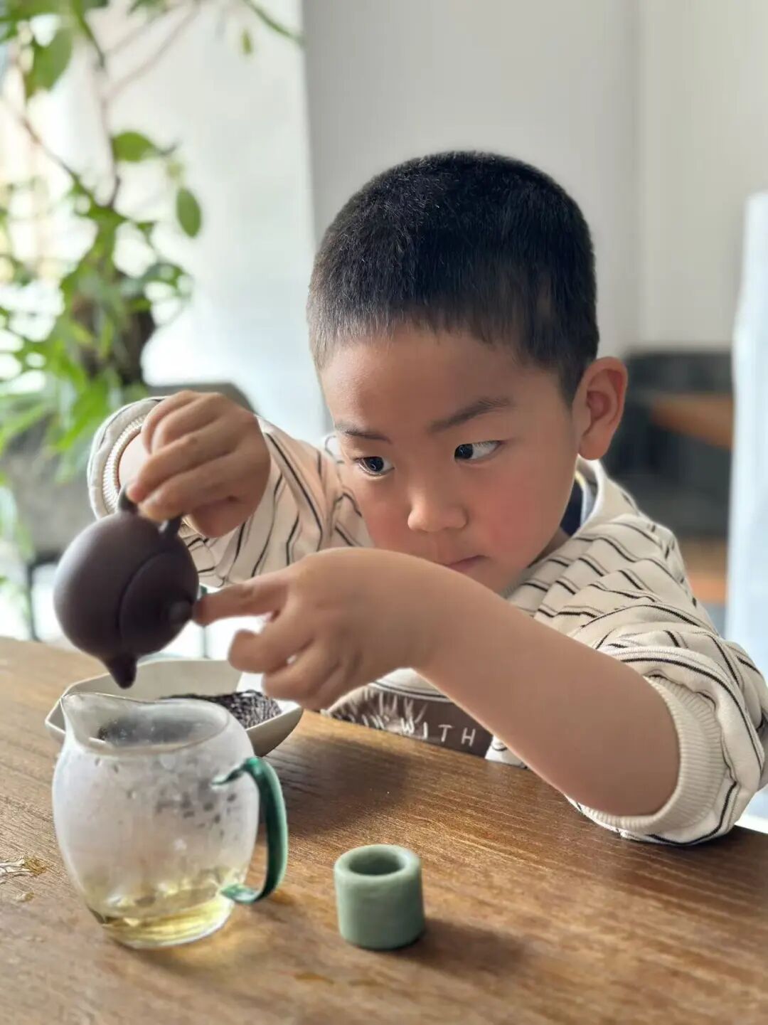 如何学会喝懂一款普洱茶？只要5步，你的品鉴力会飞速提升