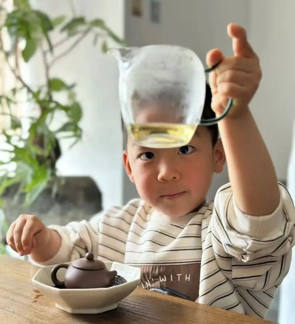 如何学会喝懂一款普洱茶？只要5步，你的品鉴力会飞速提升