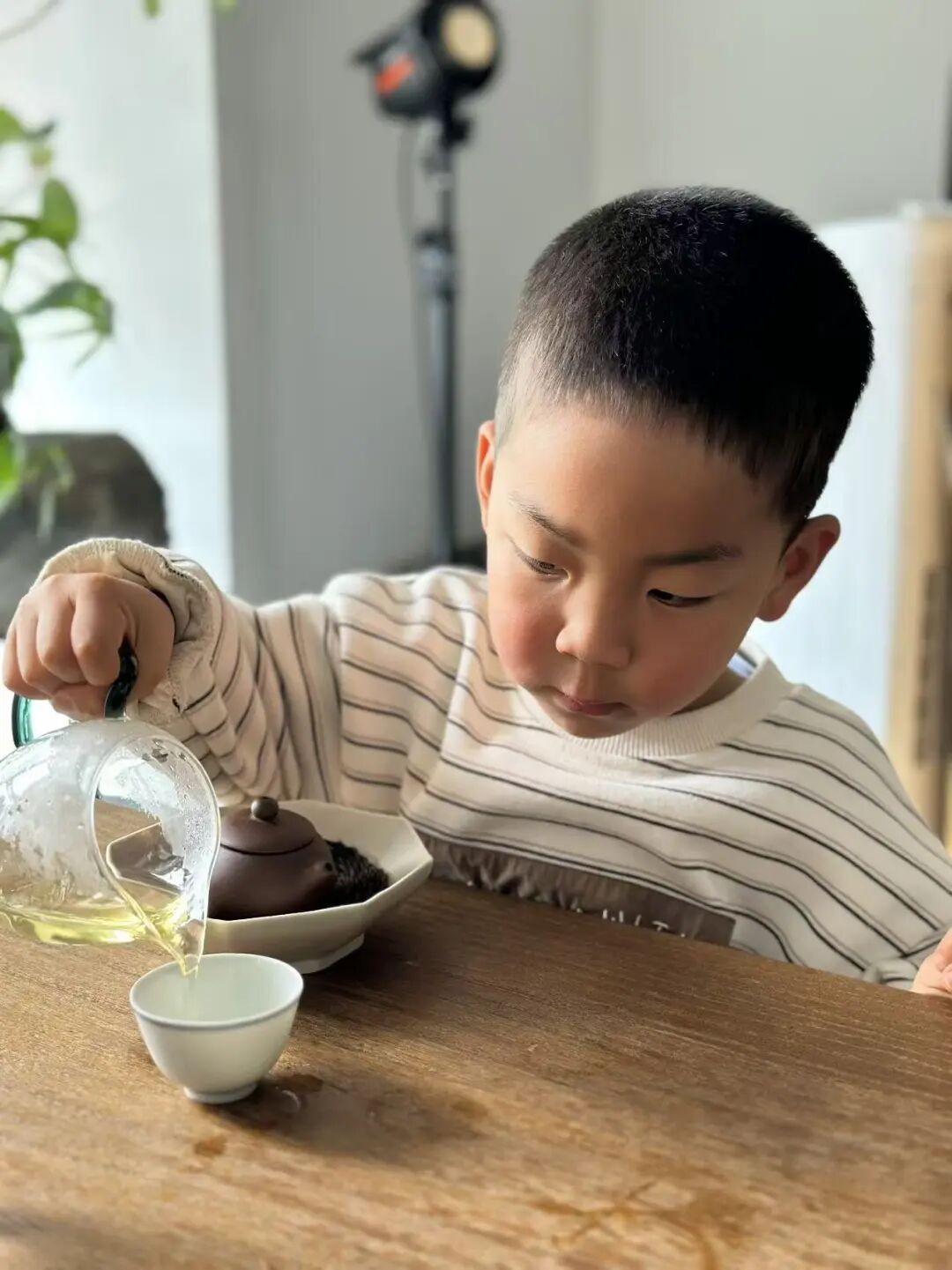 如何学会喝懂一款普洱茶？只要5步，你的品鉴力会飞速提升
