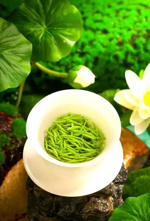 为什么要喝春茶?这6个好处告诉你答案